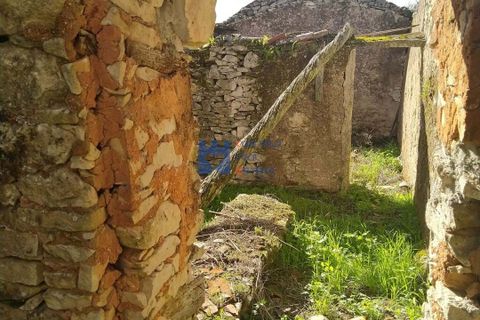 Villa i Fatima, Santarem, Fatima - € 65.000 | Ref: T1150_2025 - foto 6