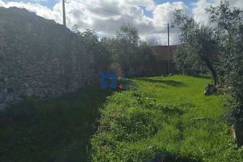Villa i Fatima, Santarem, Fatima - € 65.000 | Ref: T1150_2025 - foto 8