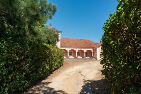 Farm i Alenquer, Lisbon, Alenquer - € 2.300.000 | Ref: QUI15286.PLA - foto 4