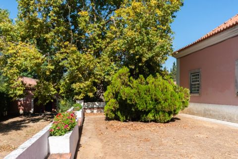 Farm i Alenquer, Lisbon, Alenquer - € 2.300.000 | Ref: QUI15286.PLA - foto 6