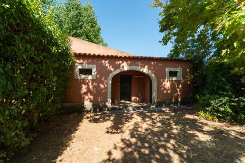 Farm i Alenquer, Lisbon, Alenquer - € 2.300.000 | Ref: QUI15286.PLA - foto 8