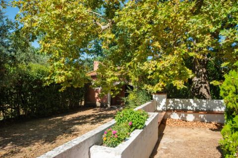Farm i Alenquer, Lisbon, Alenquer - € 2.300.000 | Ref: QUI15286.PLA - foto 9