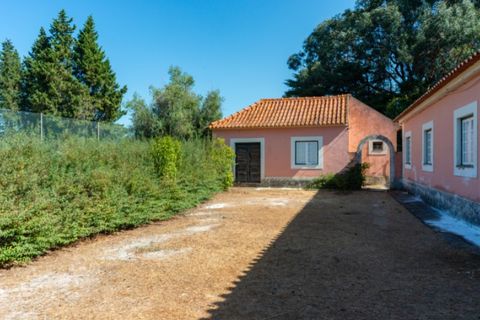 Farm i Alenquer, Lisbon, Alenquer - € 2.300.000 | Ref: QUI15286.PLA - foto 10
