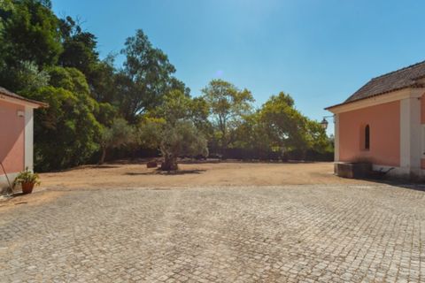Farm i Alenquer, Lisbon, Alenquer - € 2.300.000 | Ref: QUI15286.PLA - foto 11