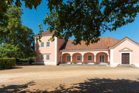 Farm i Alenquer, Lisbon, Alenquer - € 2.300.000 | Ref: QUI15286.PLA - foto 12