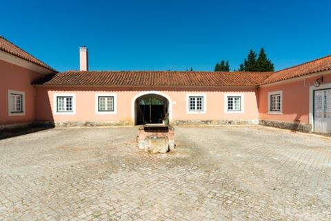 Farm i Alenquer, Lisbon, Alenquer - € 2.300.000 | Ref: QUI15286.PLA - foto 13