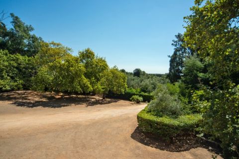 Farm i Alenquer, Lisbon, Alenquer - € 2.300.000 | Ref: QUI15286.PLA - foto 41