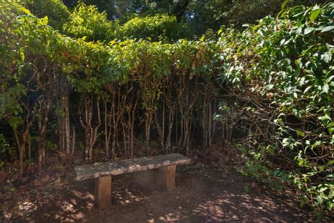 Farm i Alenquer, Lisbon, Alenquer - € 2.300.000 | Ref: QUI15286.PLA - foto 42