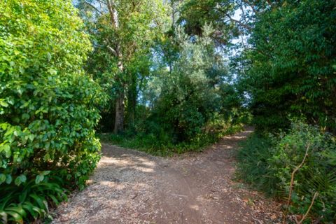 Farm i Alenquer, Lisbon, Alenquer - € 2.300.000 | Ref: QUI15286.PLA - foto 44