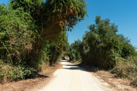 Farm i Alenquer, Lisbon, Alenquer - € 2.300.000 | Ref: QUI15286.PLA - foto 46