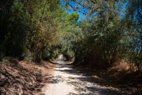 Farm i Alenquer, Lisbon, Alenquer - € 2.300.000 | Ref: QUI15286.PLA - foto 47