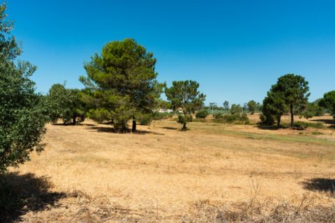 Farm i Alenquer, Lisbon, Alenquer - € 2.300.000 | Ref: QUI15286.PLA - foto 48