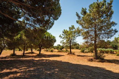 Farm i Alenquer, Lisbon, Alenquer - € 2.300.000 | Ref: QUI15286.PLA - foto 49