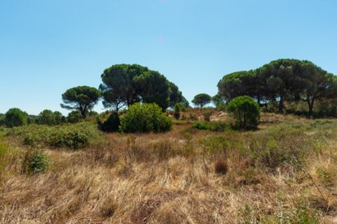 Farm i Alenquer, Lisbon, Alenquer - € 2.300.000 | Ref: QUI15286.PLA - foto 50