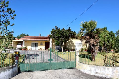 Villa i Pombal, Leiria, Pombal - € 325.000 | Ref: C0381-00808 - foto 3