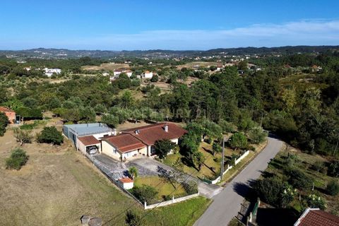 Villa i Pombal, Leiria, Pombal - € 325.000 | Ref: C0381-00808 - foto 4