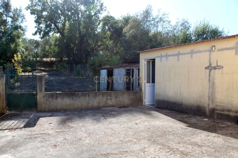 Villa i Pombal, Leiria, Pombal - € 325.000 | Ref: C0381-00808 - foto 37