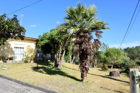 Villa i Pombal, Leiria, Pombal - € 325.000 | Ref: C0381-00808 - foto 40