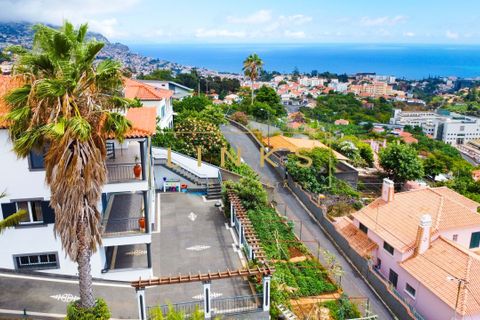 Villa a Sao Roque, Madeira, Sao Roque - € 1.700.000 | Ref: LH-678-2025E - foto 2