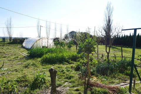 Villa i Marmande, Lot-et-Garonne, Marmande - € 106.000 | Ref: 1-25-03-54 - foto 15