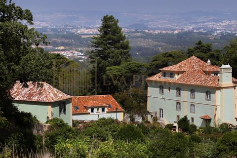 Farm i Sintra, Lisbon, Sintra - € 7.600.000 | Ref: MAS_4 - foto 5