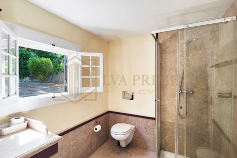 Farm i Sintra, Lisbon, Sintra - € 7.600.000 | Ref: MAS_4 - foto 40