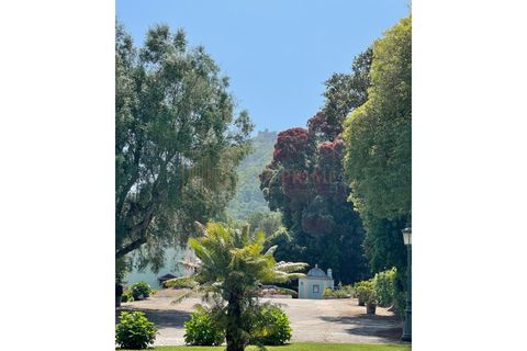 Farm i Sintra, Lisbon, Sintra - € 7.600.000 | Ref: MAS_4 - foto 6