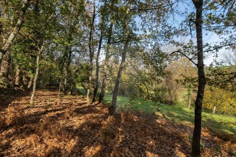 Helårsgrund i Vila Real, Vila Real, Vila Real - € 70.000 | Ref: 123331135-82 - foto 29