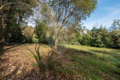 Helårsgrund i Vila Real, Vila Real, Vila Real - € 70.000 | Ref: 123331135-82 - foto 38