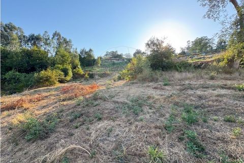 Terra a Cambeses, Braga, Cambeses - € 79.900 | Ref: 123331170-51 - foto 5