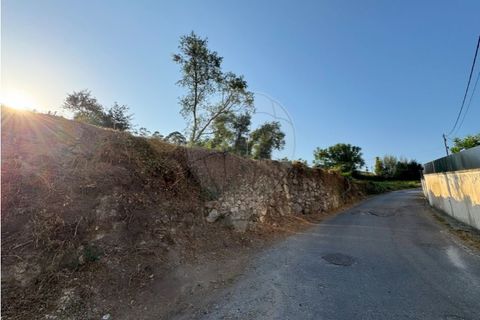 Terra a Cambeses, Braga, Cambeses - € 79.900 | Ref: 123331170-51 - foto 14