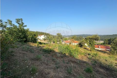 Terra a Cambeses, Braga, Cambeses - € 79.900 | Ref: 123331170-51 - foto 18