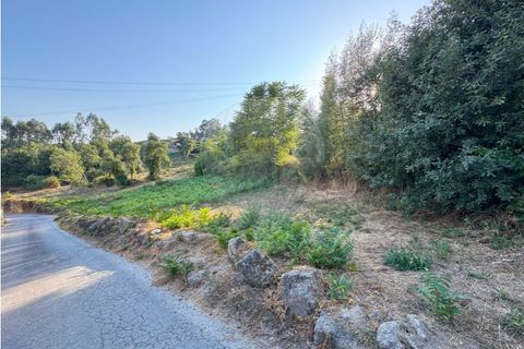 Terra a Cambeses, Braga, Cambeses - € 79.900 | Ref: 123331170-52 - foto 6