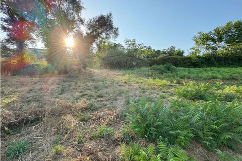 Terra a Cambeses, Braga, Cambeses - € 79.900 | Ref: 123331170-52 - foto 14
