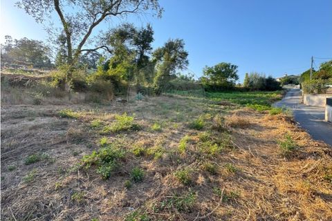 Terra a Cambeses, Braga, Cambeses - € 79.900 | Ref: 123331170-52 - foto 13