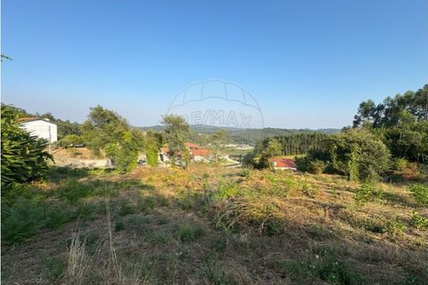 Terra a Cambeses, Braga, Cambeses - € 79.900 | Ref: 123331170-52 - foto 9
