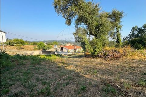Terra a Cambeses, Braga, Cambeses - € 79.900 | Ref: 123331170-52 - foto 12