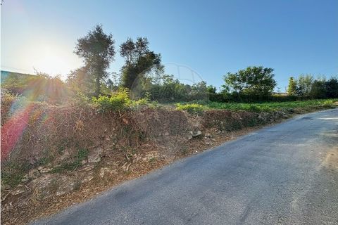 Terra a Cambeses, Braga, Cambeses - € 79.900 | Ref: 123331170-52 - foto 7