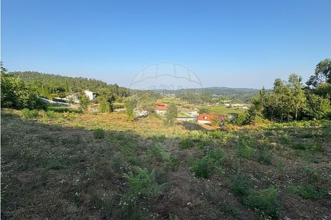 Terra a Cambeses, Braga, Cambeses - € 79.900 | Ref: 123331170-52 - foto 16