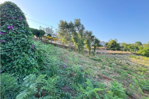 Terra a Cambeses, Braga, Cambeses - € 79.900 | Ref: 123331170-52 - foto 17