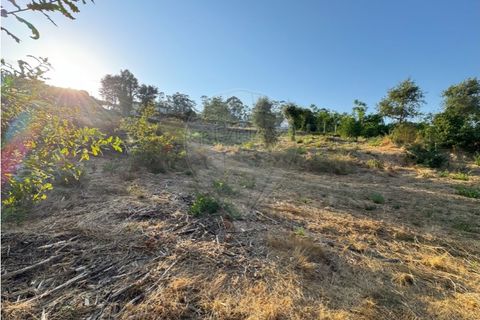 Terra a Cambeses, Braga, Cambeses - € 79.900 | Ref: 123331170-52 - foto 18