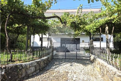 Villa i Serdedelo, Viana do Castelo, Serdedelo - € 275.000 | Ref: 123731008-439 - foto 8