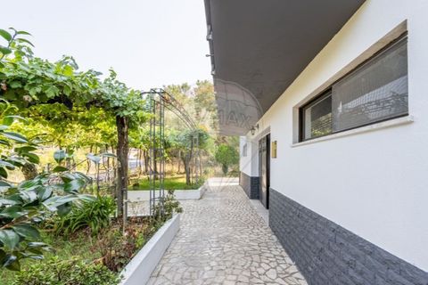 Villa i Serdedelo, Viana do Castelo, Serdedelo - € 275.000 | Ref: 123731008-439 - foto 35