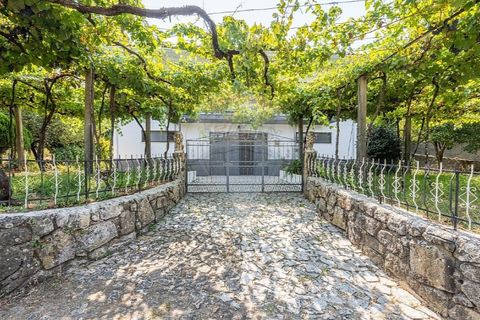 Villa i Serdedelo, Viana do Castelo, Serdedelo - € 275.000 | Ref: 123731008-439 - foto 36