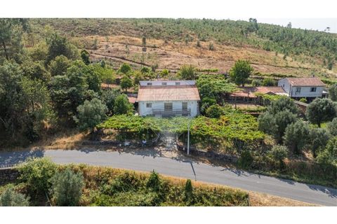 Villa i Serdedelo, Viana do Castelo, Serdedelo - € 275.000 | Ref: 123731008-439 - foto 39