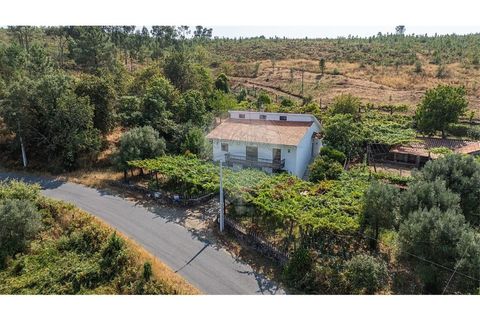 Villa i Serdedelo, Viana do Castelo, Serdedelo - € 275.000 | Ref: 123731008-439 - foto 40