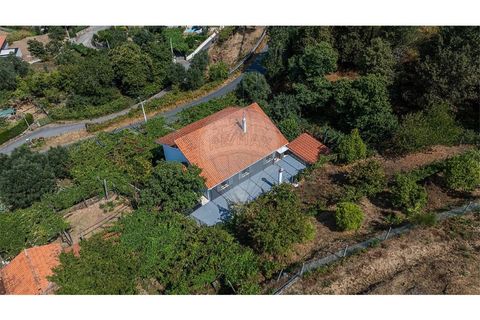 Villa i Serdedelo, Viana do Castelo, Serdedelo - € 275.000 | Ref: 123731008-439 - foto 41