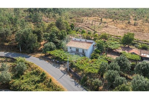 Villa i Serdedelo, Viana do Castelo, Serdedelo - € 275.000 | Ref: 123731008-439 - foto 42