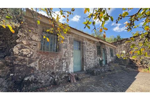 Villa i Viana do Castelo, Viana do Castelo, Viana do Castelo - € 60.000 | Ref: 126201003-211 - foto 3