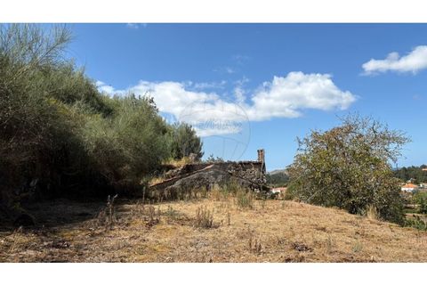 Villa i Viana do Castelo, Viana do Castelo, Viana do Castelo - € 60.000 | Ref: 126201003-211 - foto 5